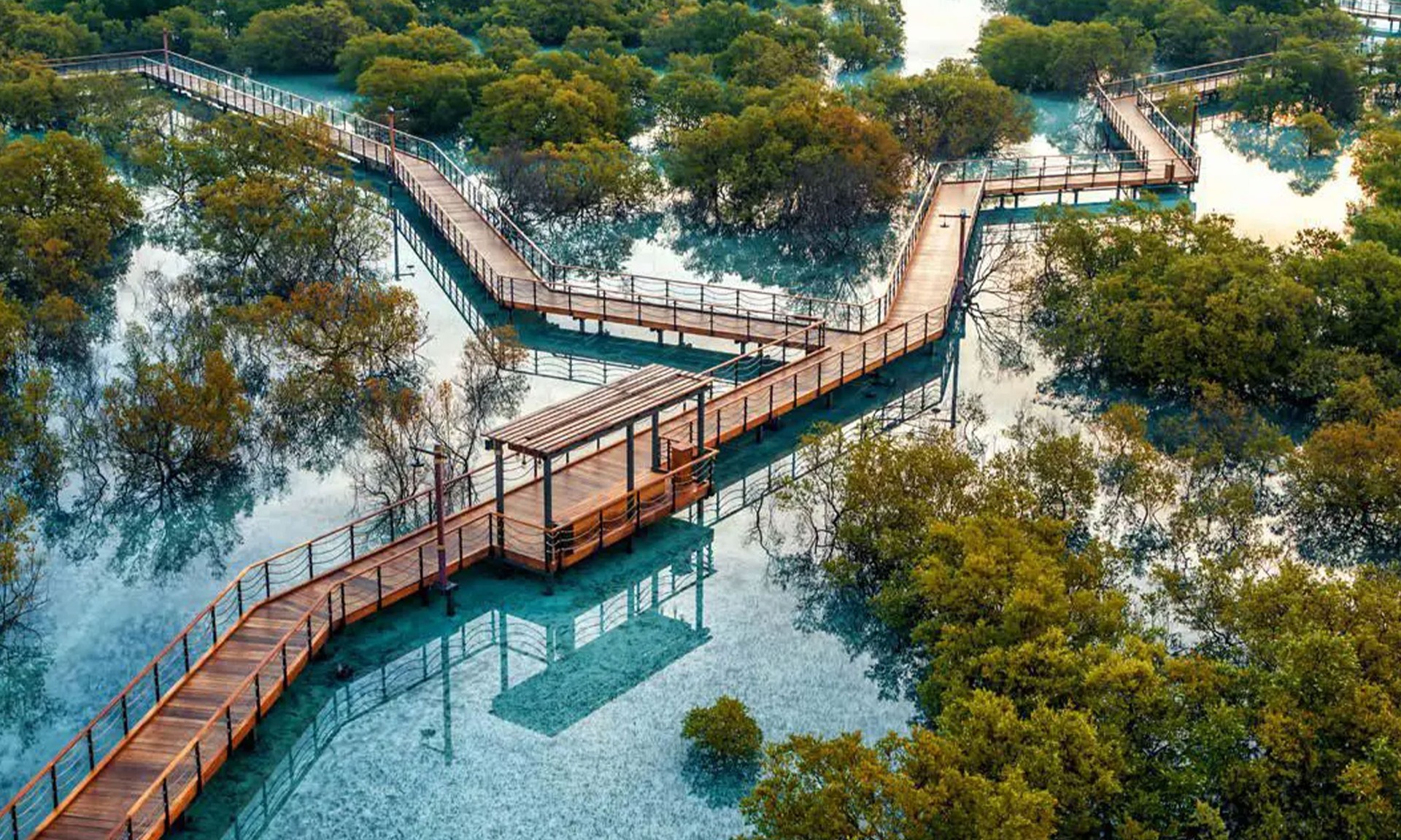 Jubail Mangrove Park