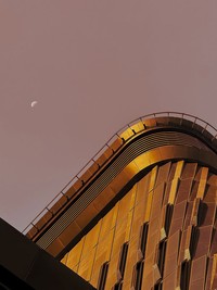 What To See, Watch & Do In The Region