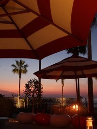 How The SLME Team Is Spending The Holidays