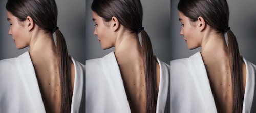How To Create A Sleek, Low Ponytail