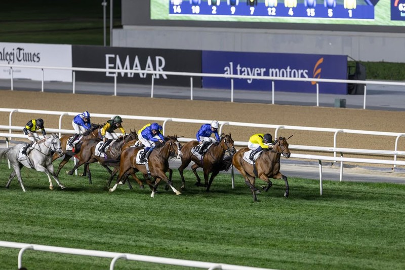 The Dubai World Cup, Meydan Racecourse