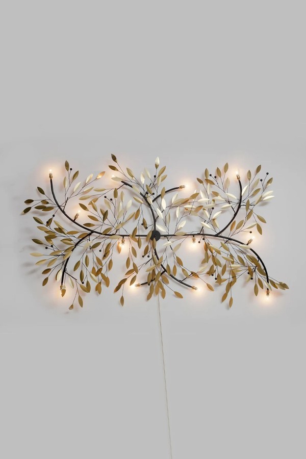 Olive Tree Branch