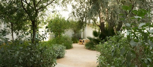 9 Last-Minute Wellness Plans Worth Booking This Eid