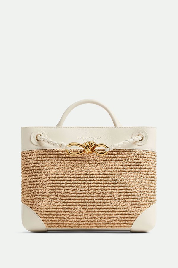 Small Andiamo Bag from Bottega Veneta