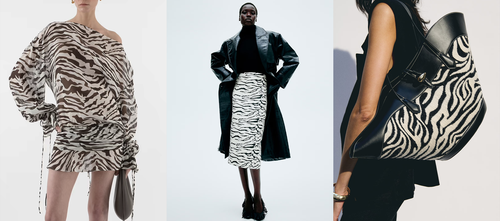 The Micro Trend: Zebra