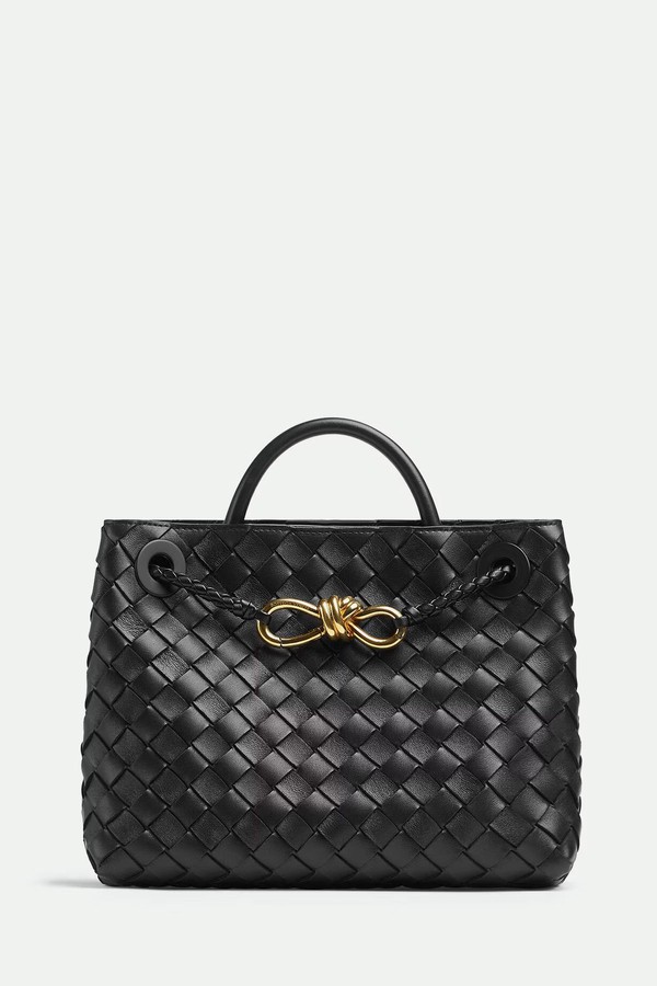 Small Andiamo Bag from Bottega Veneta