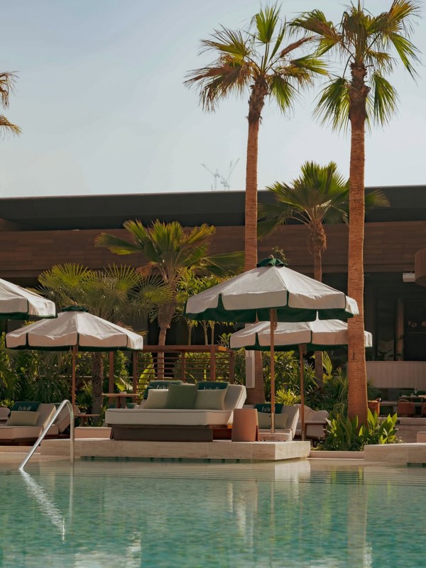 What To See, Watch & Do In The Region